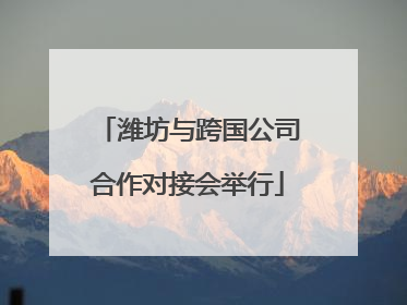 潍坊与跨国公司合作对接会举行