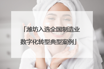 潍坊入选全国制造业数字化转型典型案例