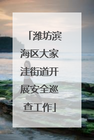 潍坊滨海区大家洼街道开展安全巡查工作
