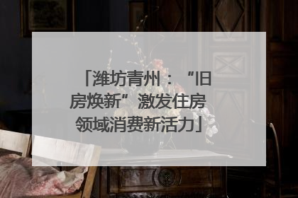 潍坊青州：“旧房焕新”激发住房领域消费新活力