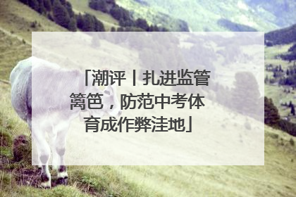 潮评丨扎进监管篱笆，防范中考体育成作弊洼地