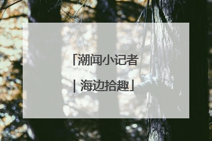 潮闻小记者｜海边拾趣