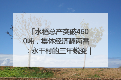 水稻总产突破4600吨，集体经济翻两番：永丰村的三年蜕变｜您牵挂的四川