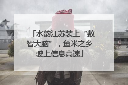 水韵江苏装上“数智大脑”，鱼米之乡驶上信息高速