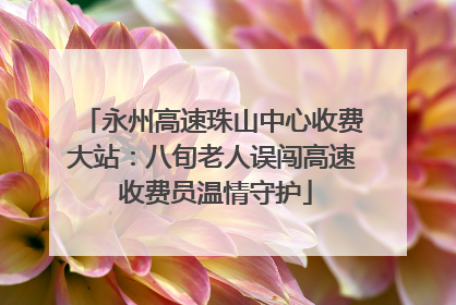 永州高速珠山中心收费大站：八旬老人误闯高速 收费员温情守护