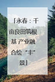 永春：千亩良田筑根基 产业融合绘“丰”景