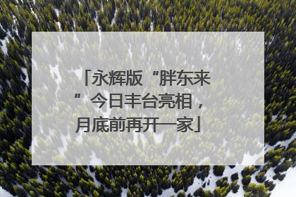 永辉版“胖东来”今日丰台亮相，月底前再开一家