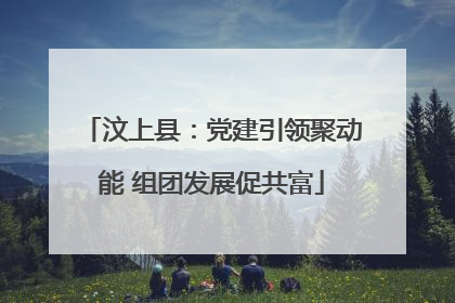 汶上县：党建引领聚动能 组团发展促共富