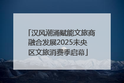 汉风潮涌赋能文旅商融合发展2025未央区文旅消费季启幕