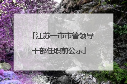 江苏一市市管领导干部任职前公示