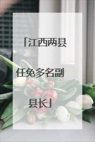 江西两县任免多名副县长