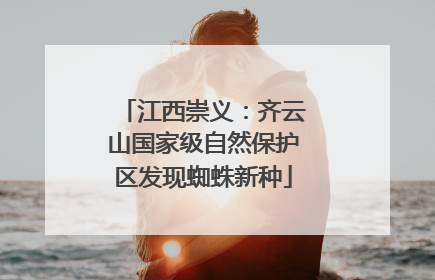 江西崇义：齐云山国家级自然保护区发现蜘蛛新种