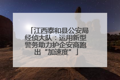 江西泰和县公安局经侦大队：运用新型警务助力护企安商跑出“加速度”