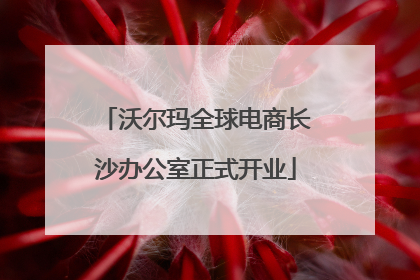 沃尔玛全球电商长沙办公室正式开业