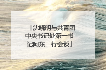 沈晓明与共青团中央书记处第一书记阿东一行会谈