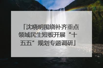 沈晓明围绕补齐重点领域民生短板开展“十五五”规划专题调研