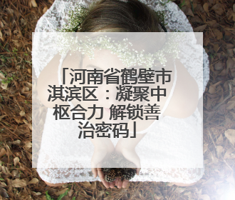 河南省鹤壁市淇滨区：凝聚中枢合力 解锁善治密码