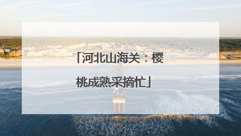 河北山海关：樱桃成熟采摘忙