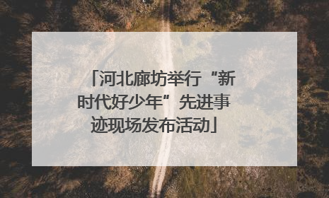河北廊坊举行“新时代好少年”先进事迹现场发布活动