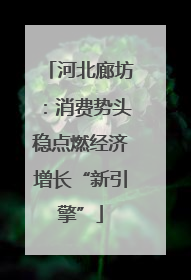 河北廊坊：消费势头稳点燃经济增长“新引擎”