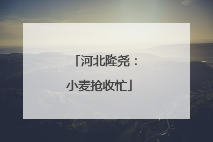 河北隆尧：小麦抢收忙