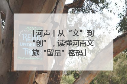 河声丨从“文”到“创”，读懂河南文旅“留量”密码