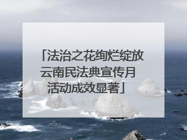 法治之花绚烂绽放 云南民法典宣传月活动成效显著