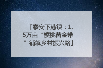 泰安下港镇：1.5万亩“樱桃黄金带”铺就乡村振兴路