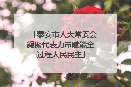 泰安市人大常委会凝聚代表力量赋能全过程人民民主