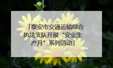 泰安市交通运输综合执法支队开展“安全生产月”系列活动