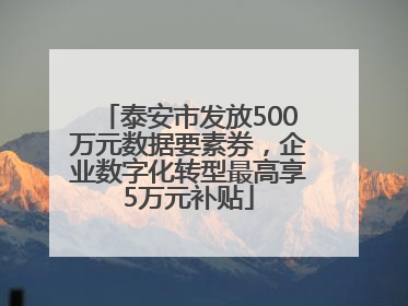 泰安市发放500万元数据要素券，企业数字化转型最高享5万元补贴