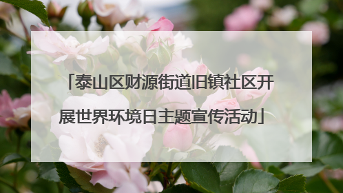 泰山区财源街道旧镇社区开展世界环境日主题宣传活动
