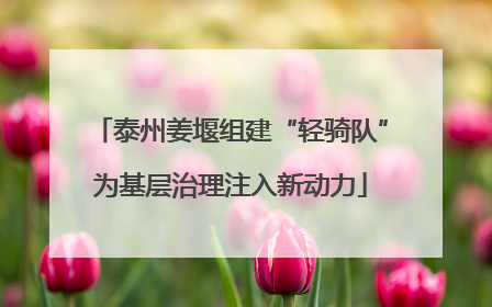 泰州姜堰组建“轻骑队”为基层治理注入新动力