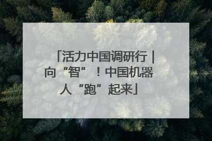 活力中国调研行｜向“智”！中国机器人“跑”起来