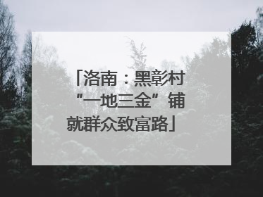 洛南：黑彰村“一地三金”铺就群众致富路