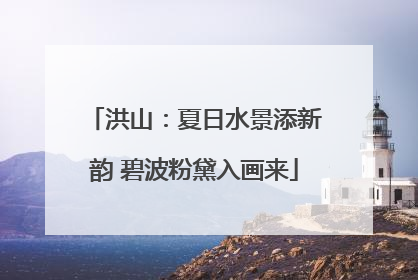 洪山：夏日水景添新韵 碧波粉黛入画来