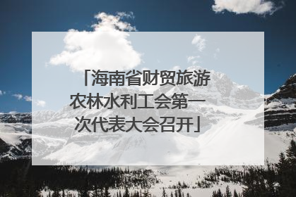 海南省财贸旅游农林水利工会第一次代表大会召开