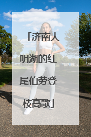 济南大明湖的红尾伯劳登枝高歌