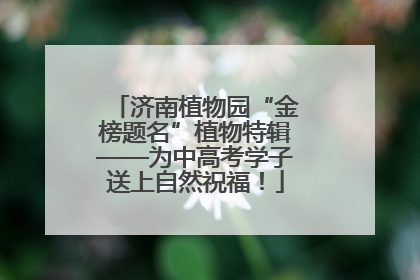 济南植物园“金榜题名”植物特辑——为中高考学子送上自然祝福！
