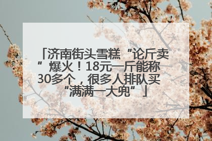 济南街头雪糕“论斤卖”爆火！18元一斤能称30多个，很多人排队买“满满一大兜”