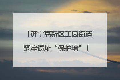 济宁高新区王因街道筑牢遗址“保护墙”