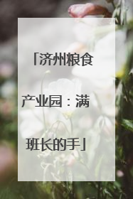 济州粮食产业园：满班长的手