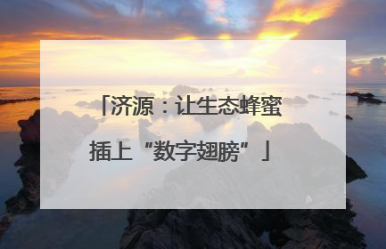 济源：让生态蜂蜜插上“数字翅膀”