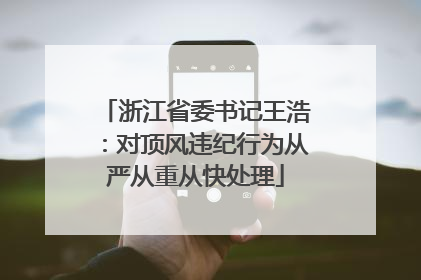 浙江省委书记王浩：对顶风违纪行为从严从重从快处理