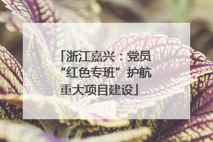 浙江嘉兴：党员“红色专班”护航重大项目建设