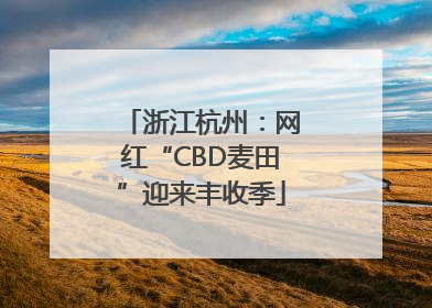 浙江杭州：网红“CBD麦田”迎来丰收季
