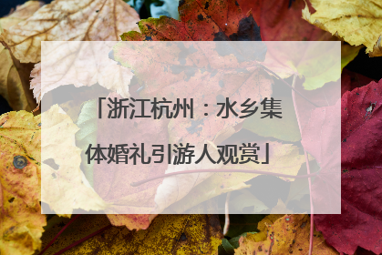 浙江杭州：水乡集体婚礼引游人观赏