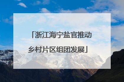 浙江海宁盐官推动乡村片区组团发展