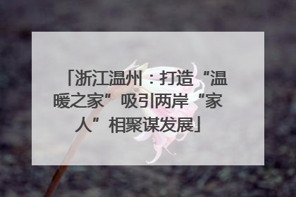 浙江温州：打造“温暖之家”吸引两岸“家人”相聚谋发展