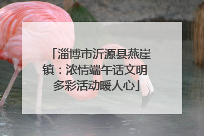 淄博市沂源县燕崖镇：浓情端午话文明 多彩活动暖人心